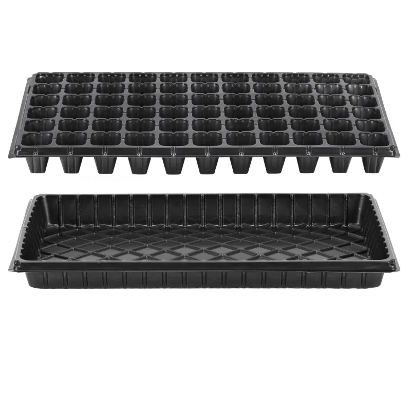 Multisection tray GA0221 52.5 x 31.5 cm